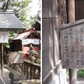 写真: 七社神社（東京都北区）神明宮