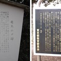 写真: 12.04.10.旧渋沢庭園／飛鳥山公園（東京都北区）飛鳥山碑