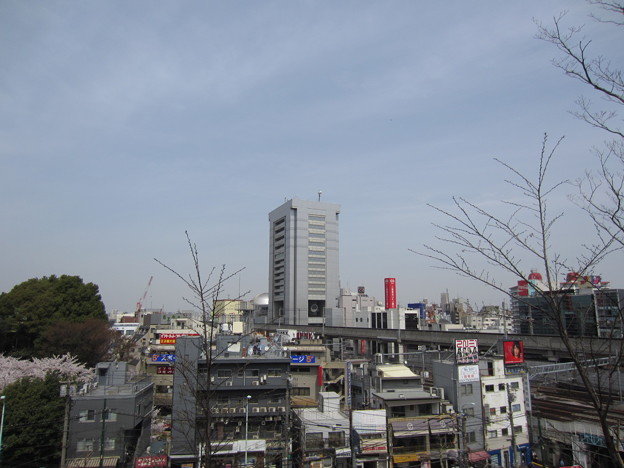 写真: 12.04.10.旧渋沢庭園／飛鳥山公園（東京都北区）北とぴあ