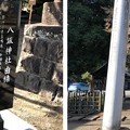 写真: 八坂神社（東村山市）