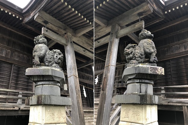 写真: 鬼無里神社（長野市鬼無里）狛犬