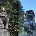 写真: 二宮神社（あきる野市）狛犬