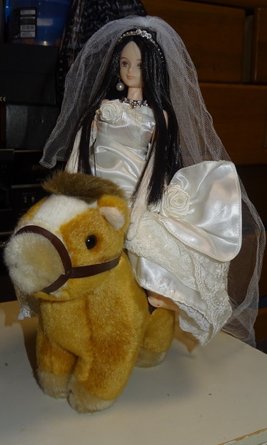 写真: ｳｪﾃﾞｨﾝｸﾞﾄﾞﾚｽ(ﾛｰｽﾞﾘｴｰﾙ)を着て馬に乗るREINA