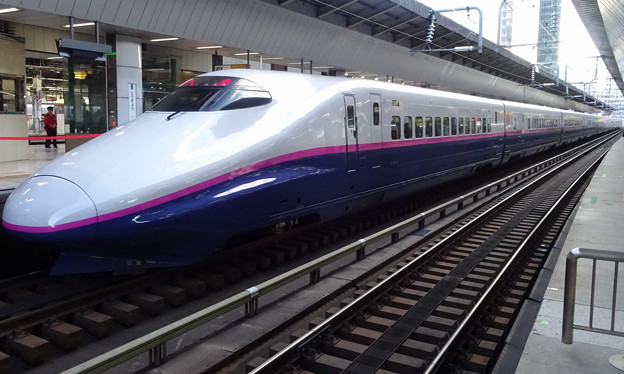 写真: JR東日本上越新幹線E2系｢とき377号｣