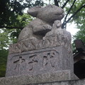 写真: 調神社 狛兎