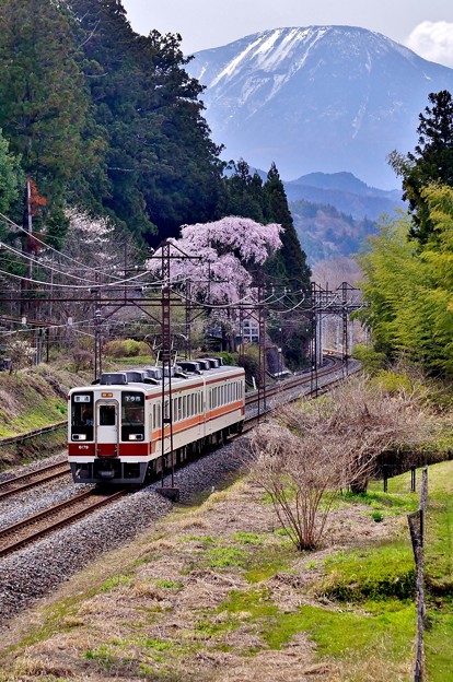 写真: 春列車日光号
