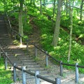 森の中へと続く階段
