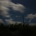 写真: 満月、サトウキビ畑の幻想