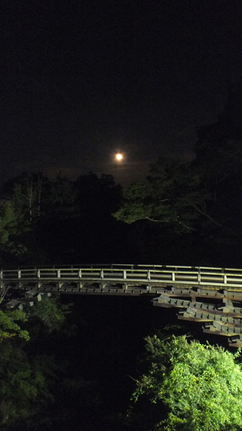 写真: 猿橋と大きな月