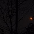 写真: 〜金星と月の接近〜