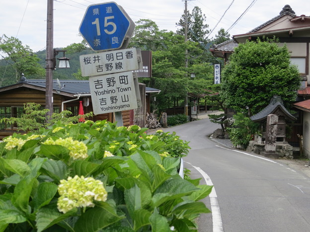 写真: 吉野路をゆく（2016年6月）