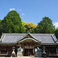 写真: 日根神社の拝殿