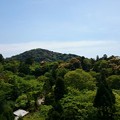 Photos: 京都 清水寺より