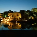 Photos: 東京 駒込 六義園 夜桜1