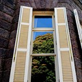 Photos: 旧古河庭園 洋館の窓