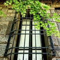 Photos: 旧古河庭園 書庫の窓