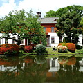 卯月 小石川植物園
