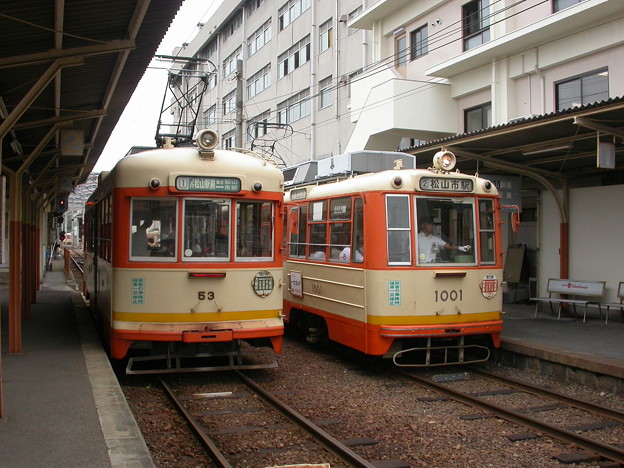 伊予鉄道モハ53・モハ1001　2003-8-13