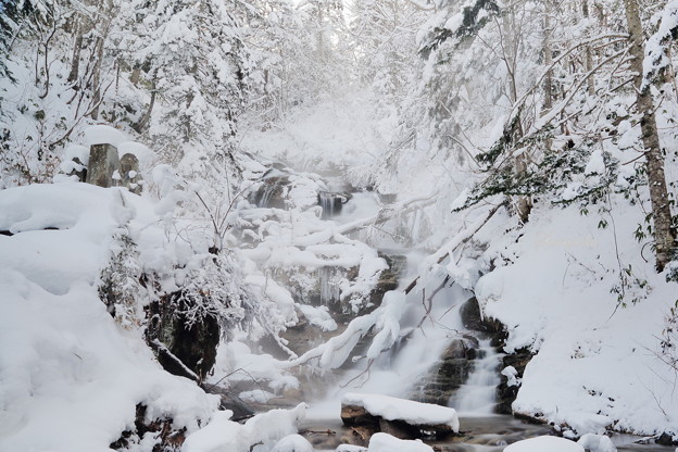 写真: 冬の滝