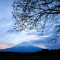 写真: 富士山　日の出前