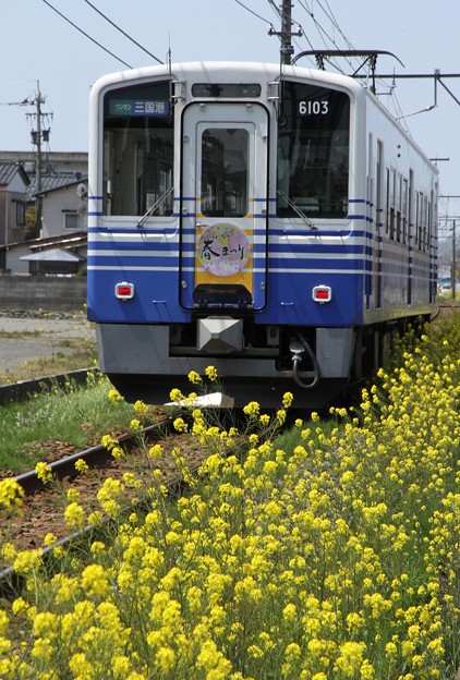 写真: 春電車