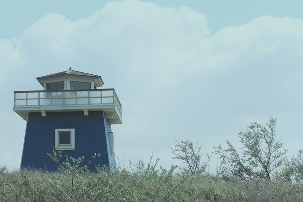 写真: 風吹く丘の灯台