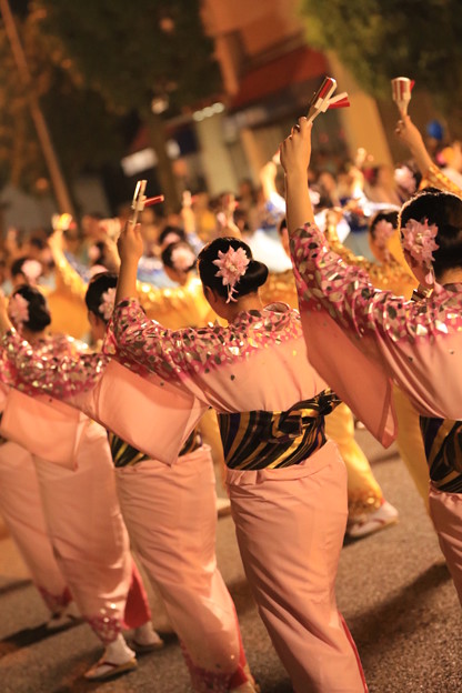 写真: 本渡ハイヤ祭