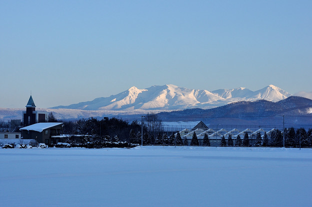 写真: 旭川農業高校 と 大雪の山々