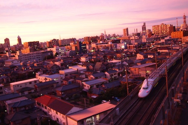 写真: 夕日を浴びて走る上越新幹線