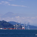 写真: 駿河湾からの富士山