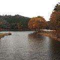 写真: 段戸湖の紅葉