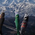 写真: 鯉のぼりのある風景・白馬山麓編３