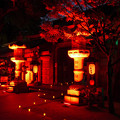 写真: 櫛田神社＠博多ライトアップウォーク(4)