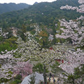 千畳閣からの眺め(3)
