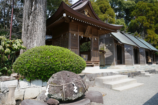 健軍神社(5)