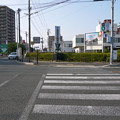 写真: 山ノ井交差点の羽犬像 (1)