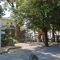 糸島市・老松神社 (5)