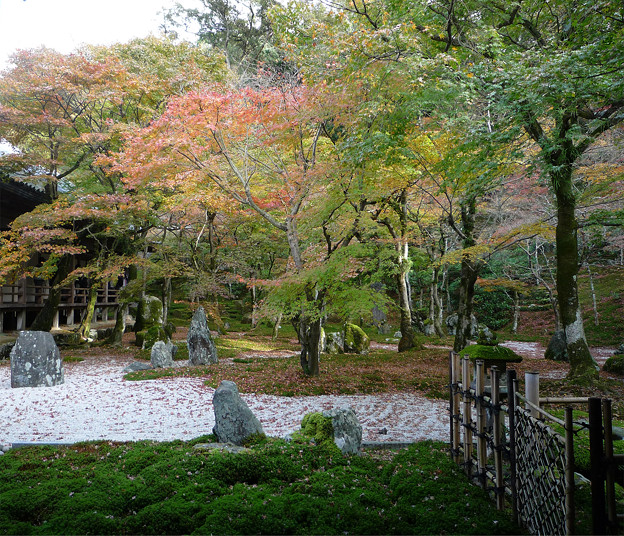 写真: 光明禅寺の紅葉