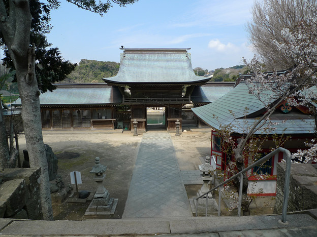 写真: 田島神社(9)