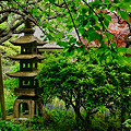 写真: 浄智寺の庭の風景