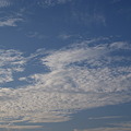 写真: 2009　夏の日の空２