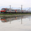 写真: ７８３系電車と水田