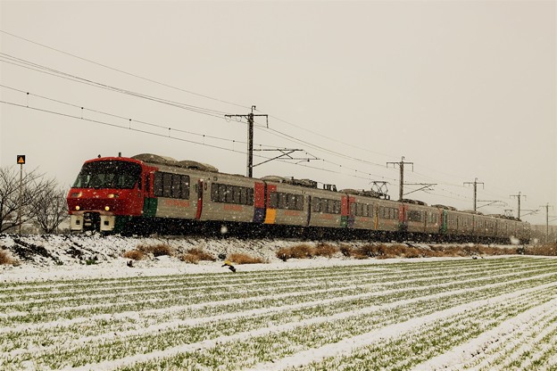 写真: 雪と特急列車