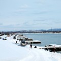 Photos: 冬の石狩川