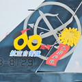 2014年築城基地航空祭　F-2記念塗装機