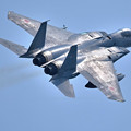 写真: ギラリ光る　304飛行隊F-15J