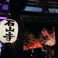 写真: 石山寺の夜景1