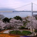 写真: 関門海峡の春