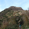 写真: IMG_5340金時山登山・仙石原のすすき