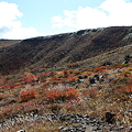 写真: IMG_8859那須 茶臼岳 姥ヶ平の紅葉